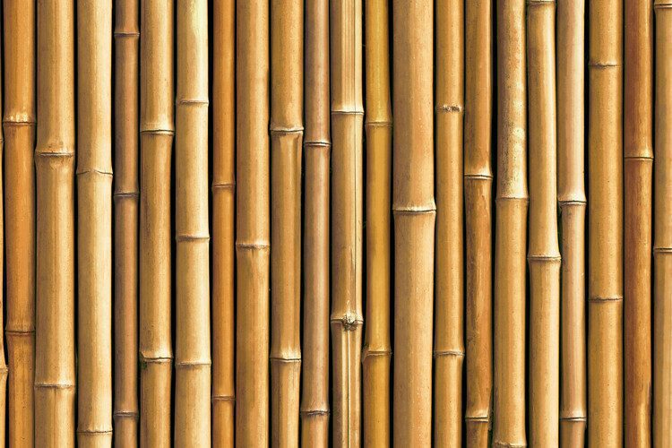 Nappe en Vinyle Bambou