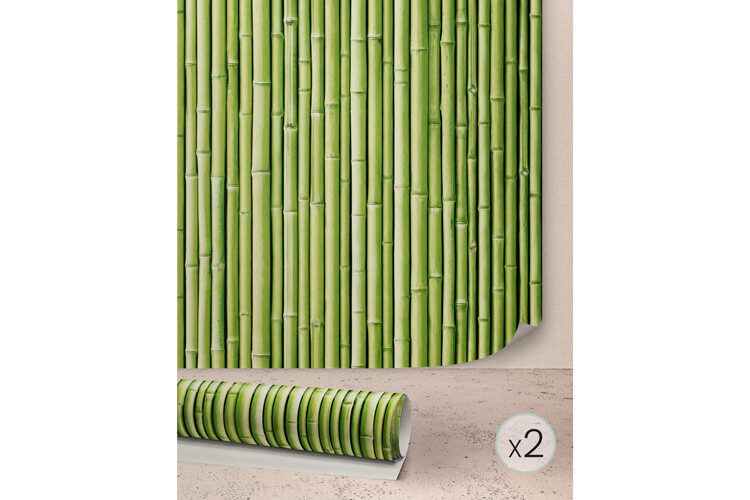 Bambú verde, rollos de papel pintado